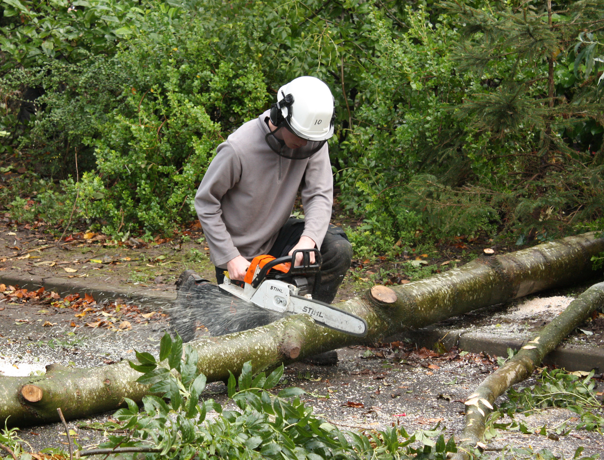 Arb Prospectus 2009.jpg