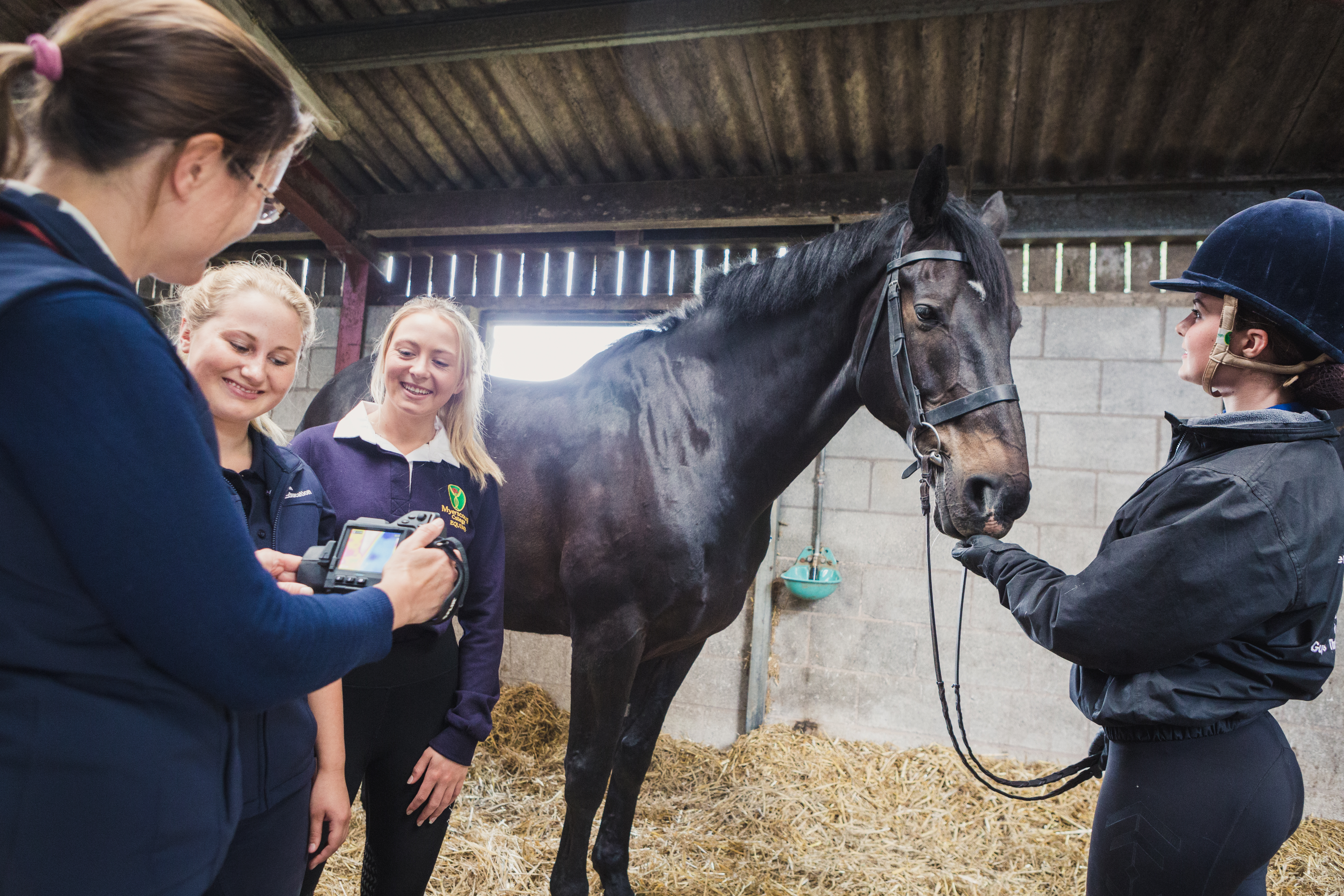 120618 Myerscough Prospectus 172