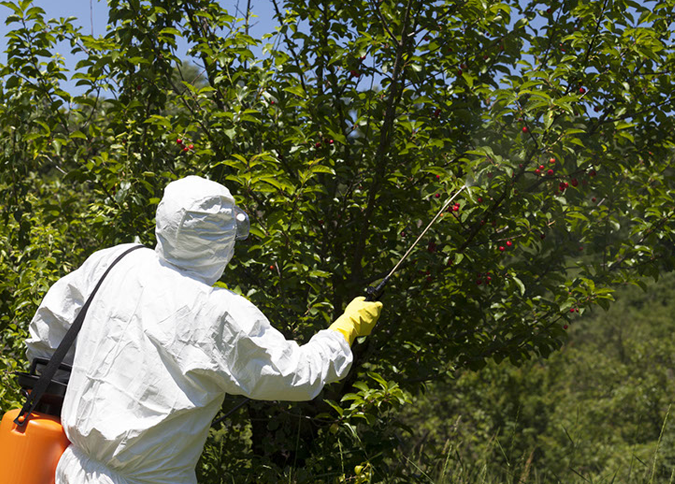 Pesticide Stock Image